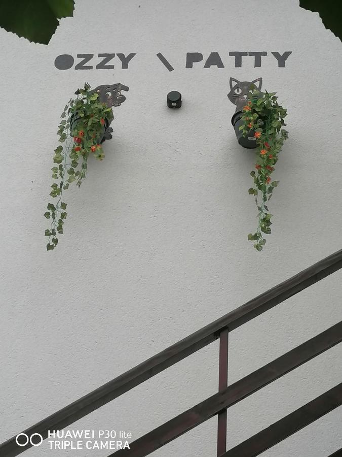 Casa Ozzy&Patty Hotel 2 Mai Exterior foto